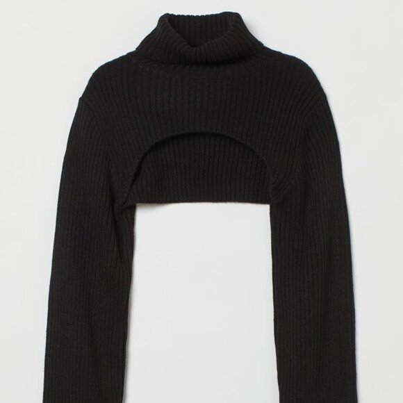 H&M Sweaters - NEW SOLD OUT H&M Crop Turtleneck Sweater